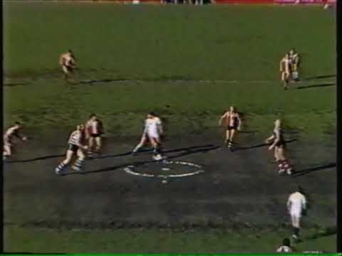 1986 VFL Round 16 - Geelong vs St Kilda