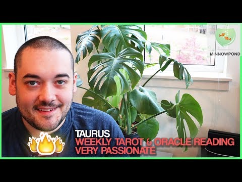 Taurus  - "Very Passionate New Beginning" May 18th - May 24th