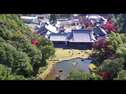 【山口市】常栄寺雪舟庭＜史跡及び名勝＞