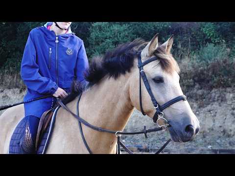🌟 Super Pony Club Pony 🌟 - Image 2