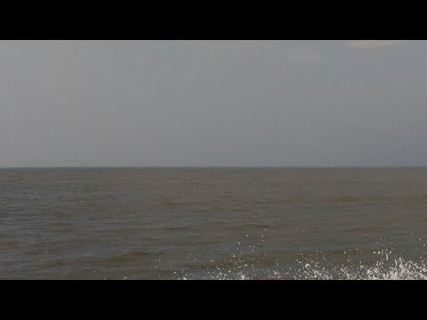 Live Digha Sea Beach - কোটালের ঢেউ