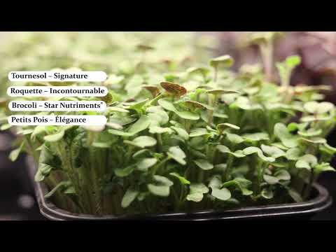 Vidéo 4 — Les Jardins de l'Huma