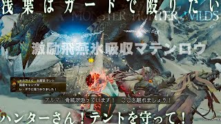 【MHWilds】レ・ダウ(歴戦ではない) ランス 猫有り 装衣無し 【大返し突き・飛び込み突き】