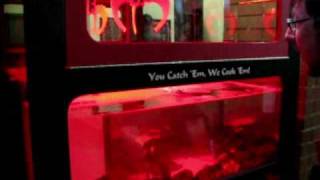 preview picture of video 'Casino Lobster Crane Machine Game Winner - $2 Bet at Las Vegas Club Freemont Street'