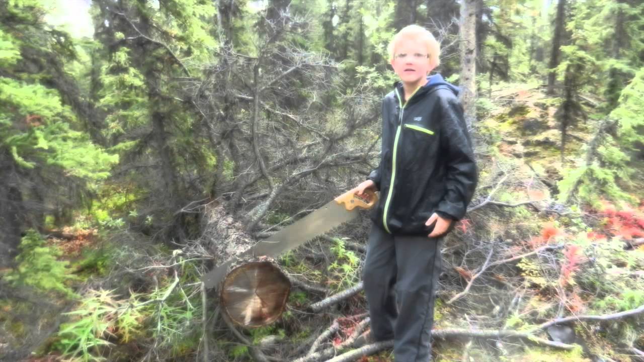 Yukon:  Cross Cut Saws