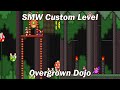 SMW Custom Level Overgrown Dojo With Ninja Kirby Boss