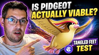 Why Tangled Feet Pidgeot is Better than You Think !