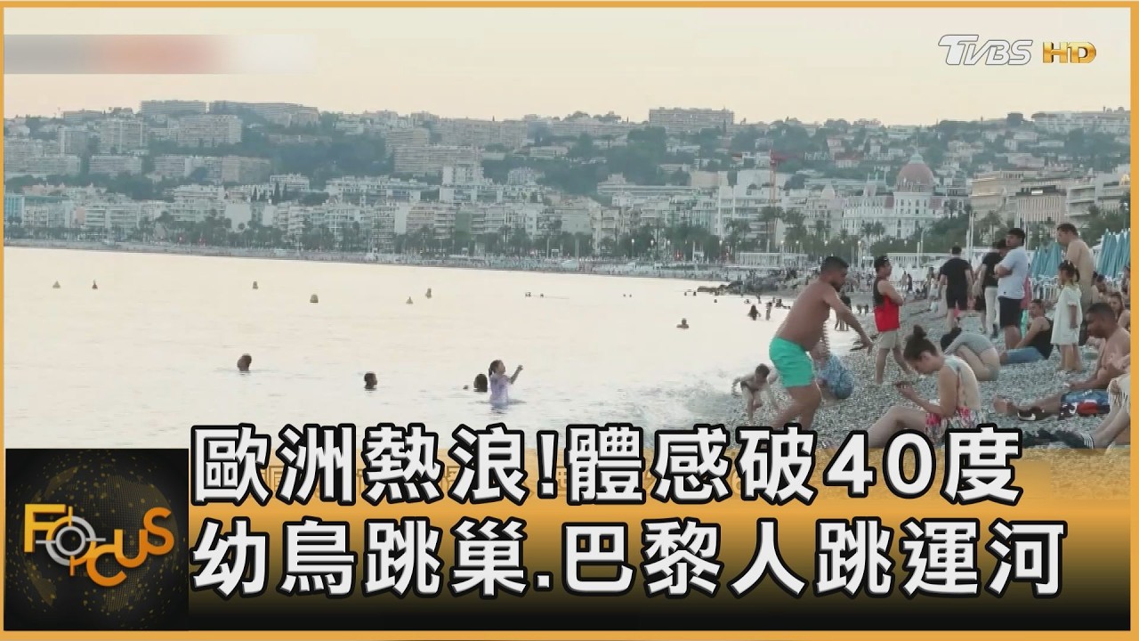 歐洲熱浪！體感破40度　幼鳥跳巢.巴黎人跳運河