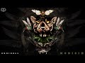 EddiBell - Medisin (Album Mix) [Organic Downtempo | Folktronica | Rainforest Rave]