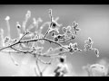Anno Domini Beats Winter Of The Heart HD 1080p ...
