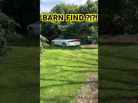Thumbnail for Barn find?? Or better off not found at all ?? 😂🚀 #follow #automobile #car #barnfind #probe #ford by Ford Probe