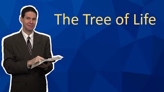 Taylor and Tyler video thumbnail