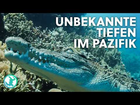 Blue Wonder Pacific: Titans in the Infinite Depths (ULTRA HD)