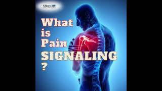 What is Pain Signaling