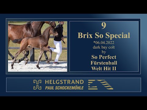 9 - Brix So Special by So Perfect/Fürstenball - Helgstrand-Schockemöhle Auction on June 4th 2022
