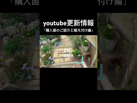 いつオープングラウンドに花を植え始めますか？きれいなお花畑を作るにはどれを選べばいいでしょうか？  庭園