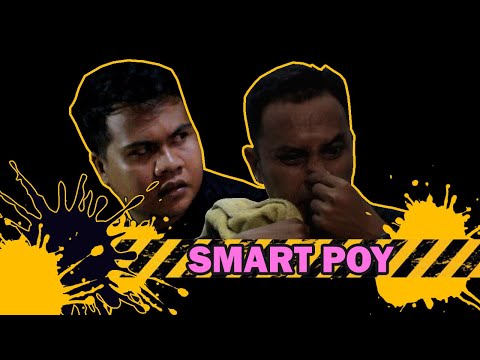 hape-smart-poy
