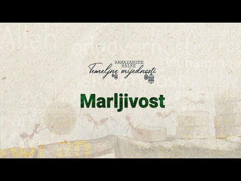 Ramazanske halke "TEMELJNE VRIJEDNOSTI" (3) - Marljivost