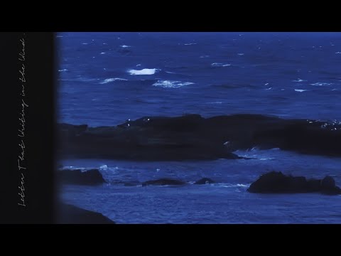 Jazzzcz • Letter That Writing in the Wind