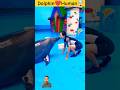 A Girl Kiss With Dolphin Dolphin And Human Love Story ️ Shorts Love Kiss