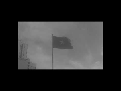 Rain - Woody Green (Music Video)