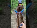 Cinder: 1st Neck Rope Ride!