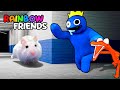 Hamster Adventures In Rainbow Friends Maze In Real Life [OBSTACLE COURSE]