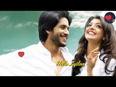 hello hello laila whatsapp status video dhada movie telugu
