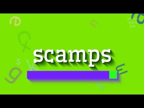 SCAMPS - HOW TO PRONOUNCE IT? #scamps
