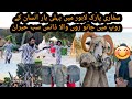 Lahore Safari Park Animals Dances Performance Best Experience Of Wildlife Safari Park Lahore