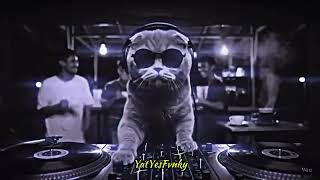 Download lagu DJ TOR MONITOR KETUA X TABOLA BALE X MELODY LAMBADA VIRAL TIKTOK TERBARU 2025 mp3 Download lagu DJ TOR MONITOR KETUA X TABOLA BALE X MELODY LAMBADA VIRAL TIKTOK TERBARU 2025 mp3