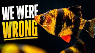 Fish the Aquarium Hobby Got Wrong