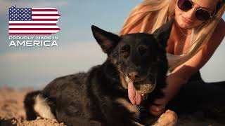 Monster K9   Flying Disc