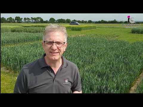 Winterweizen BENCHMARK B - Setzt die Latte hoch!