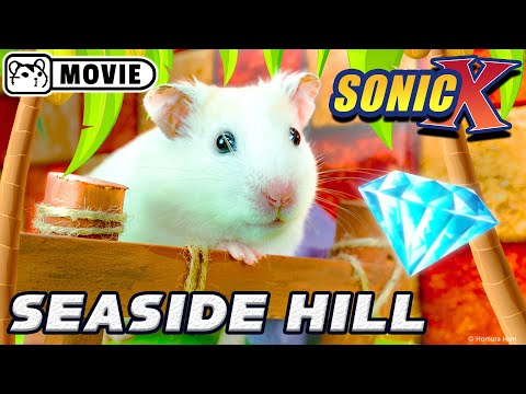 Hamster Sonic vs Eggman ep.2 - Seaside Hill zone 🐹 Big hamster escape 🐹 Homura Ham