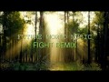 Future World Music - Fight (Fl Studio Remix) 