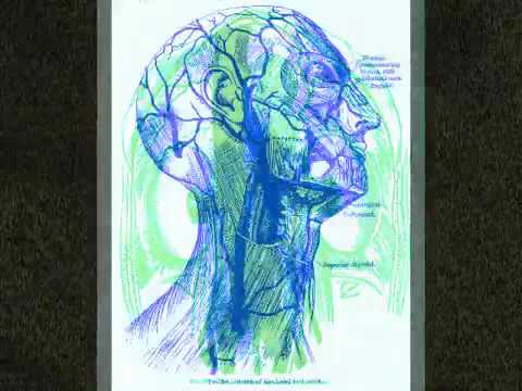 UNITUBA - CARDIAC by Aaron Hynds