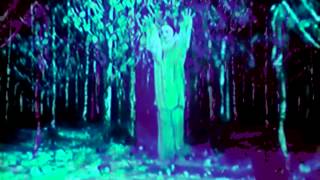 LIL UGLY MANE - ALONE AND SUFFERING