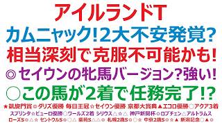【アイルランドトロフィー2026】予想　カムニャック、2大不安発覚か？！相当深刻で、克服不可能かも！◎セイウンハーデスの牝馬バージョン？強いぞ！○この馬が2着で任務完了！？