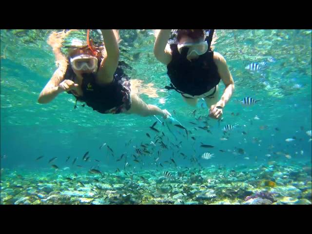 サマーリゾート沖縄　(Summer Resort Okinawa)