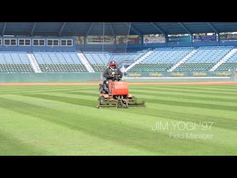Outfield Grass Stripes