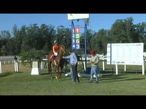 HIPODROMO SINT MELO - 220520 c05 1° REY PEPE