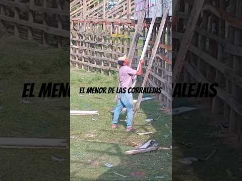 Asi va la monumental de algarrobo magdalena #torosbravos #corralejas #corralejasdelacostaシ