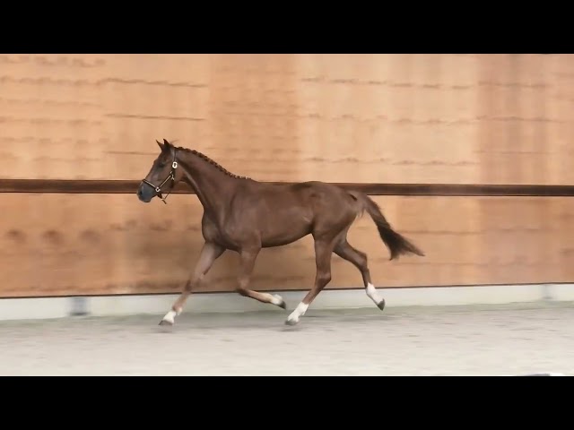 Gaits