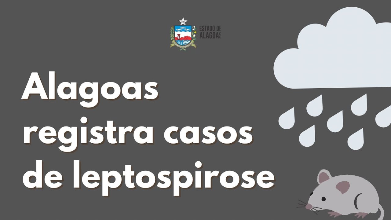 UTILIDADE PÚBLICA: Leptospirose em Alagoas 