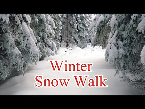 Winter Walk Through Snowy Forest with Snow Crunch Sound – Scenic