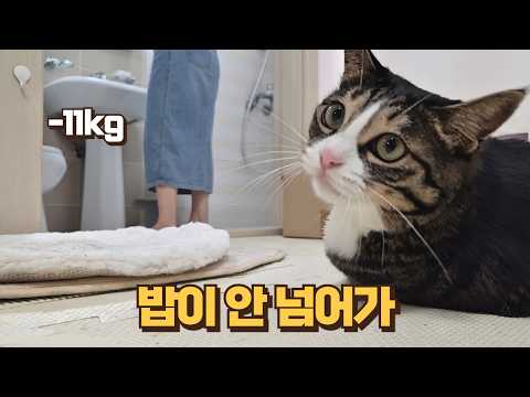 살 더 빼서 온 큰언니 보고 완전 기죽은 보름이 먹던 간식도 뱉었어요