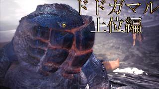 【切り抜き】限界までやり続けた後のMONSTER HUNTER WORLD：ICEBORNE ドドガマル 上位編