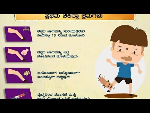ನಾಯಿ ಕಚ್ಚಿದಾಗ ಏನು ಮಾಡಬೇಕು? || Dog bite - care