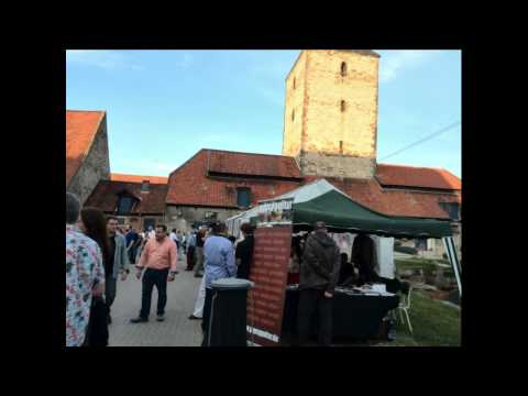 Impressionen 15  Django Reinhardt Festival Hildesheim Germany 10  & 11  Juli  2015